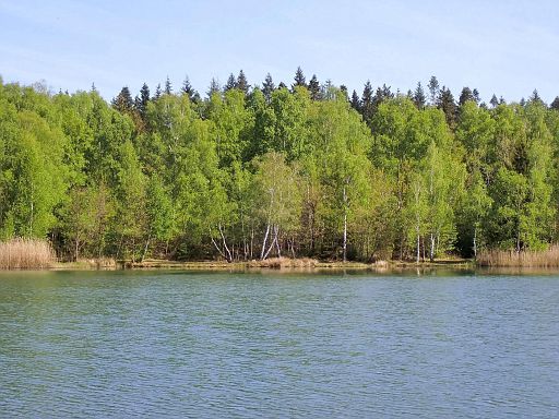 Bruchsee