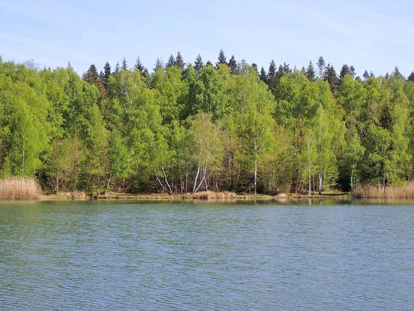 Bruchsee