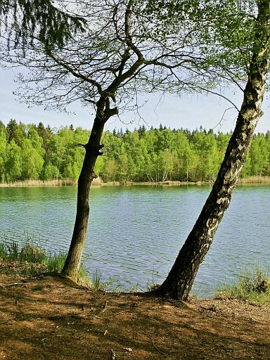 Bruchsee