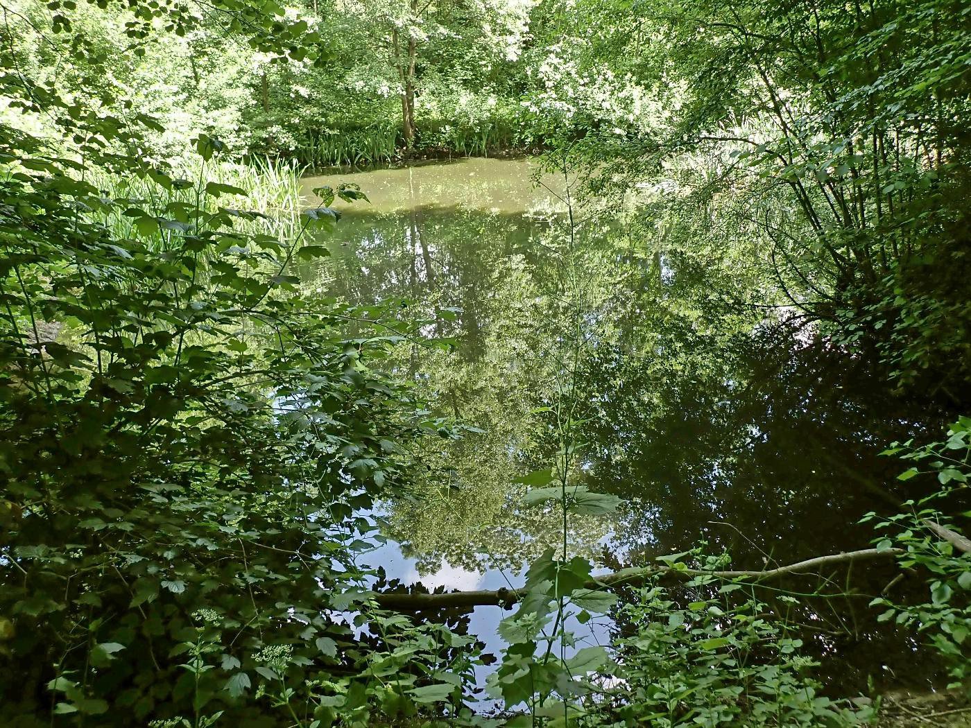 Eisteich
