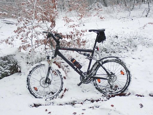 Schneemobil