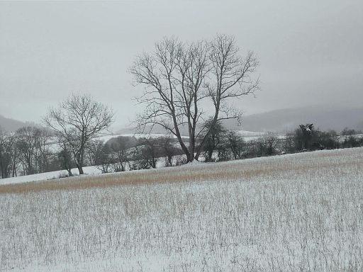 Ziebenberg