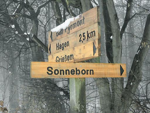 Hier geht's lang!