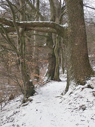 Slalomweg