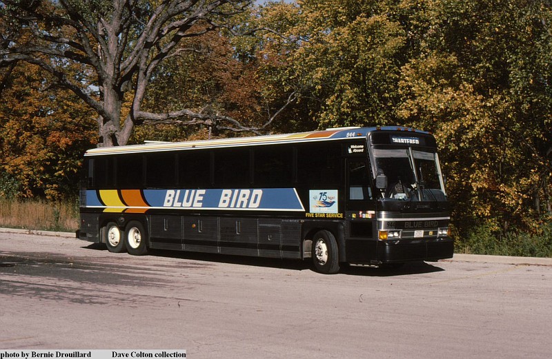 Photo: blue bird 944f | Blue Bird album | Esbdave | Fotki.com, photo ...