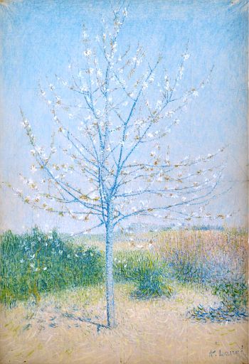 Cailhau, Almond Tree in Bloom (undated)