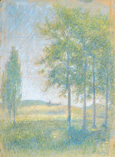 Tall Trees (undated)