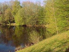 Hasselbachstausee