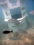 World's First Underwater Post Office