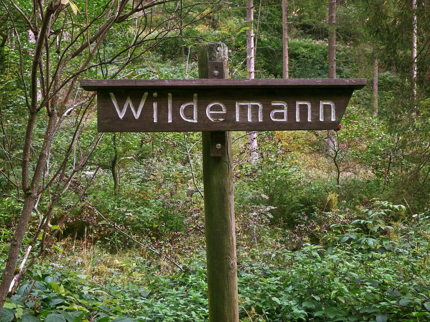 Wildemann
