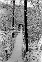 1-Swinging Bridge at Montgomery (About Feb 1982)